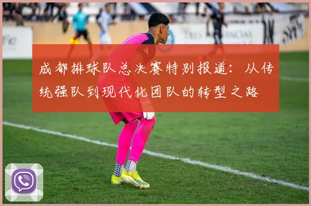 成都排球队总决赛特别报道：从传统强队到现代化团队的转型之路